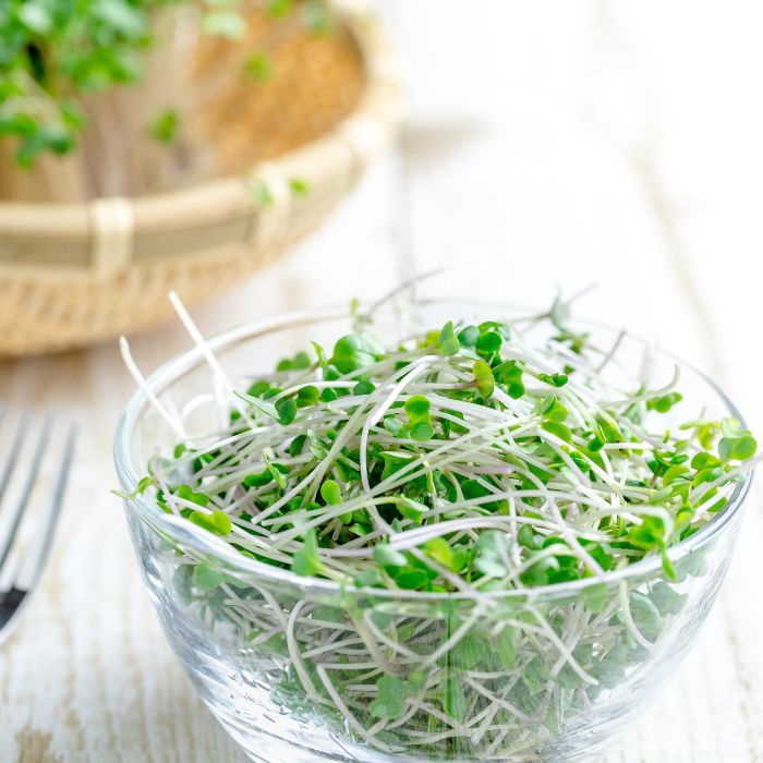 Zesti Product Spotlight Broccoli Sprouts Perfect Supplements Australia