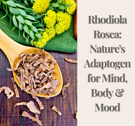 Rhodiola rosea: Natureβs Adaptogen for Mind, Body & Mood