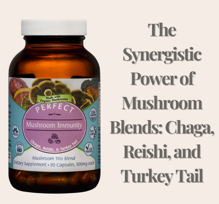 The Synergistic Power of Mushroom Blends: Chaga, Reishi, and Turkey Tail