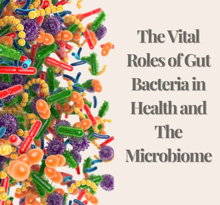 The Vital Roles of Gut Bacteria in Health and The Microbiome