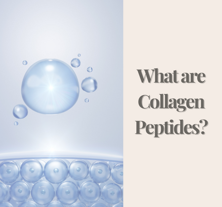 What are Collagen Peptides?