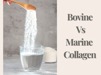 Bovine vs Marine Collagen: Which Is Better for Skin, Joints and Healthy Ageing?