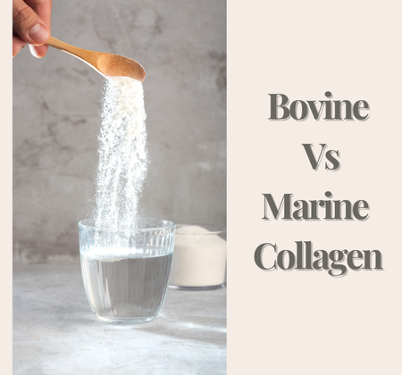 Bovine vs Marine Collagen: Which Is Better for Skin, Joints and Healthy Ageing?