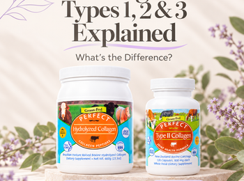 Collagen Types 1, 2 & 3: Differences Explained