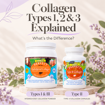 articles/Collagen_Types_Explained_Wellness_Guide.png