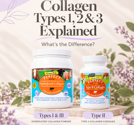 Collagen Types 1, 2 & 3: Differences Explained