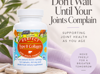 Don’t Wait Until Your Joints Complain: Supporting Joint Health as You Age