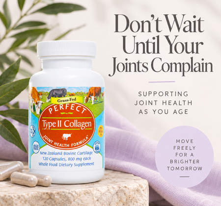 Don’t Wait Until Your Joints Complain: Supporting Joint Health as You Age
