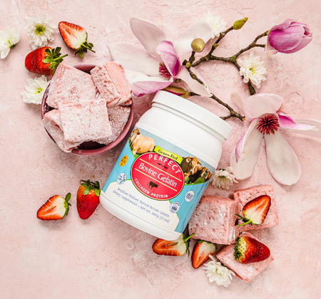 Perfect Gelatin Recipes for Christmas