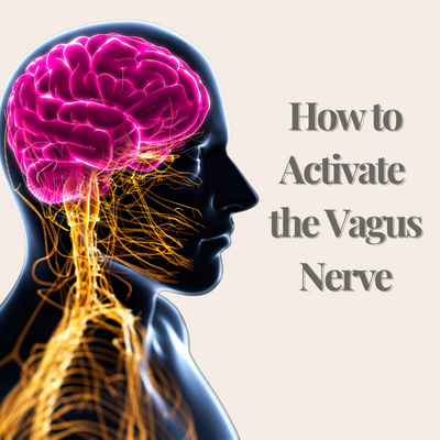articles/How_to_Activate_the_Vagus_Nerve.png