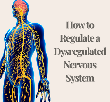 How to Regulate a Dysregulated Nervous System