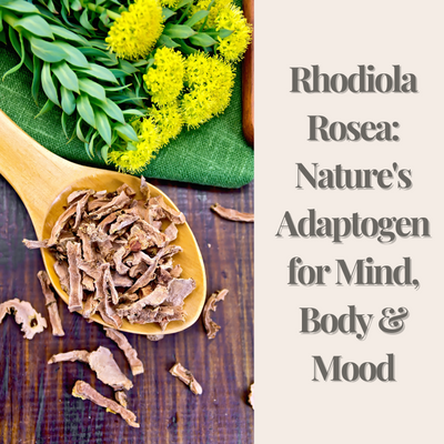 articles/Rhodiola_rosea_Nature_s_Adaptogen_for_Mind_Body_Mood.png