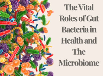 The Vital Roles of Gut Bacteria in Health and The Microbiome