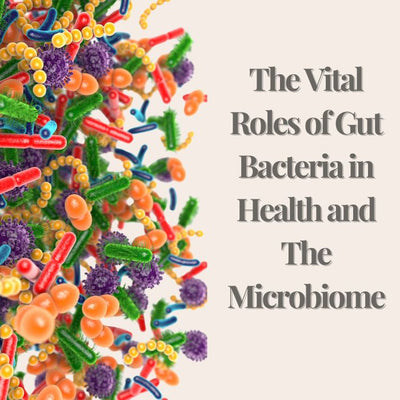 articles/The_Vital_Roles_of_Gut_Bacteria_in_Health_and_The_Microbiome.jpg
