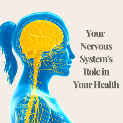 articles/Your_Nervous_System_s_Role_in_Your_Health_1.png
