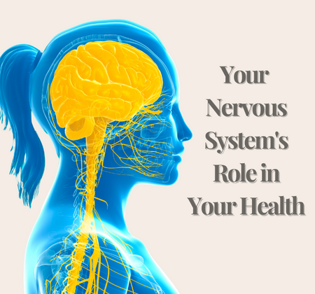 Your Nervous System's Role in Your Health